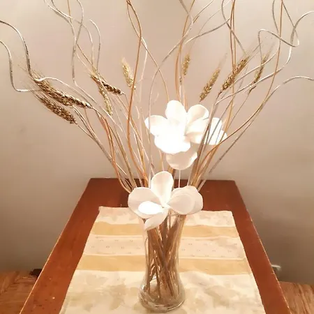 Rialto Laura Venedig