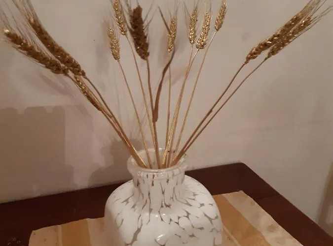 Rialto Laura Appartement